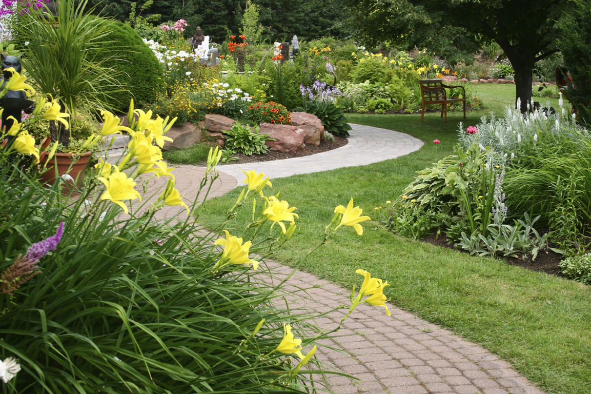 Best Mulch Types for Cape Cod Sandy Soil