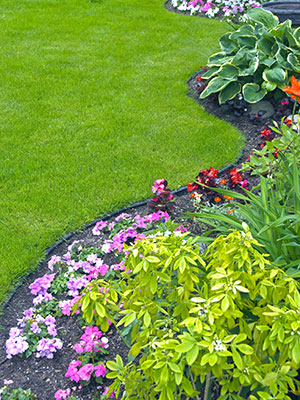 Estate Landscape Design