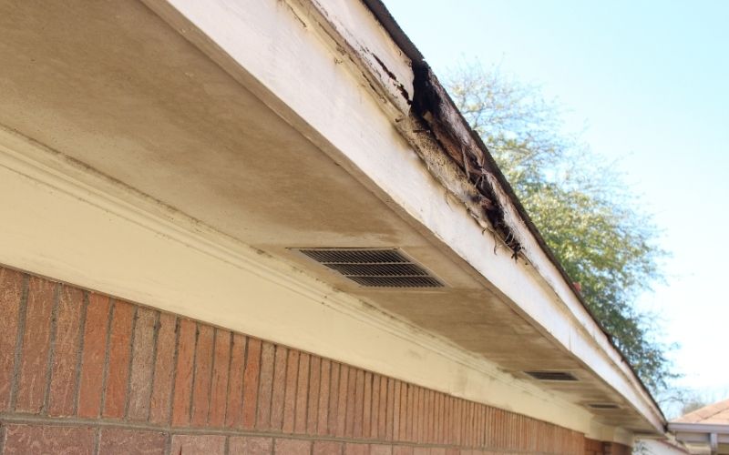 Bernard Exterior - Wood Rot Repair & Replacement Bernard Exterior - Wood Rot Repair & Replacement