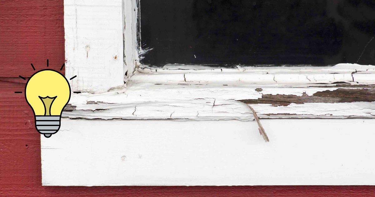 window wood rot color red window wood rot color red