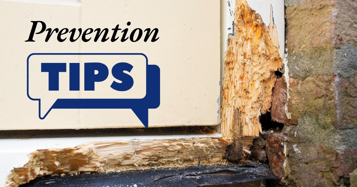 Prevent wood rot tips - by bernard exteriors Prevent wood rot tips - by bernard exteriors