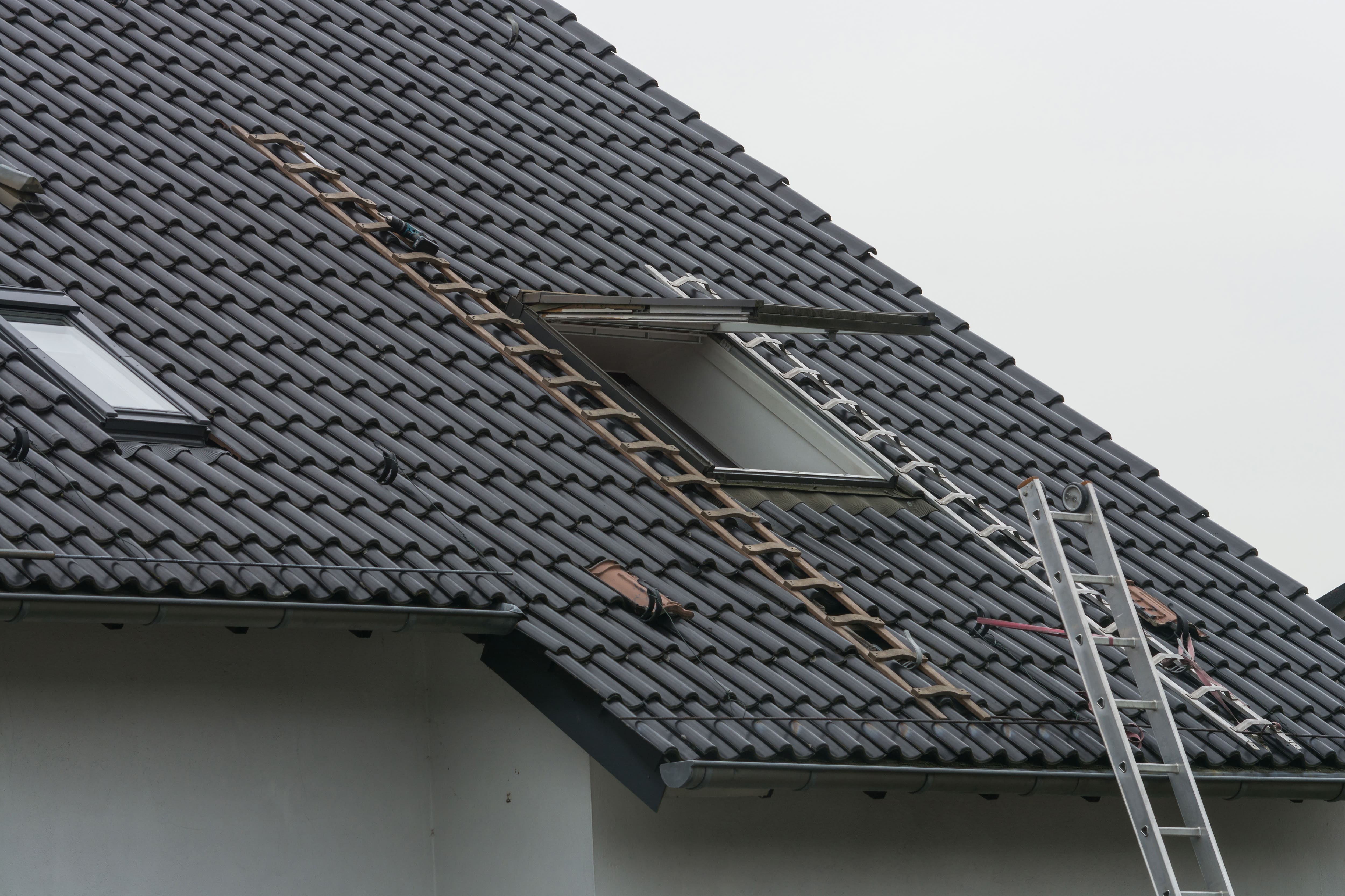 ladders at the top of the house