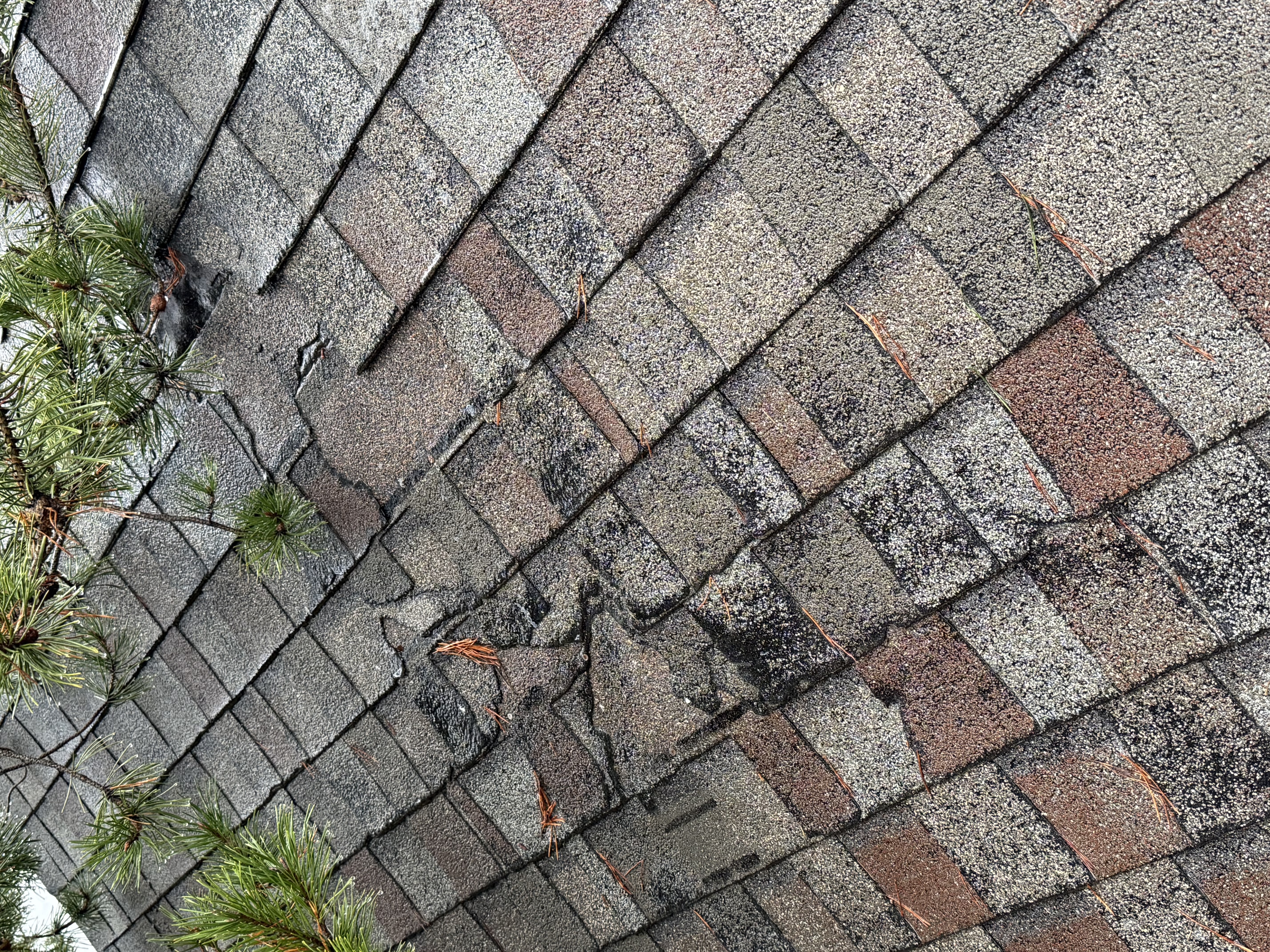 Damaged shingles from storm