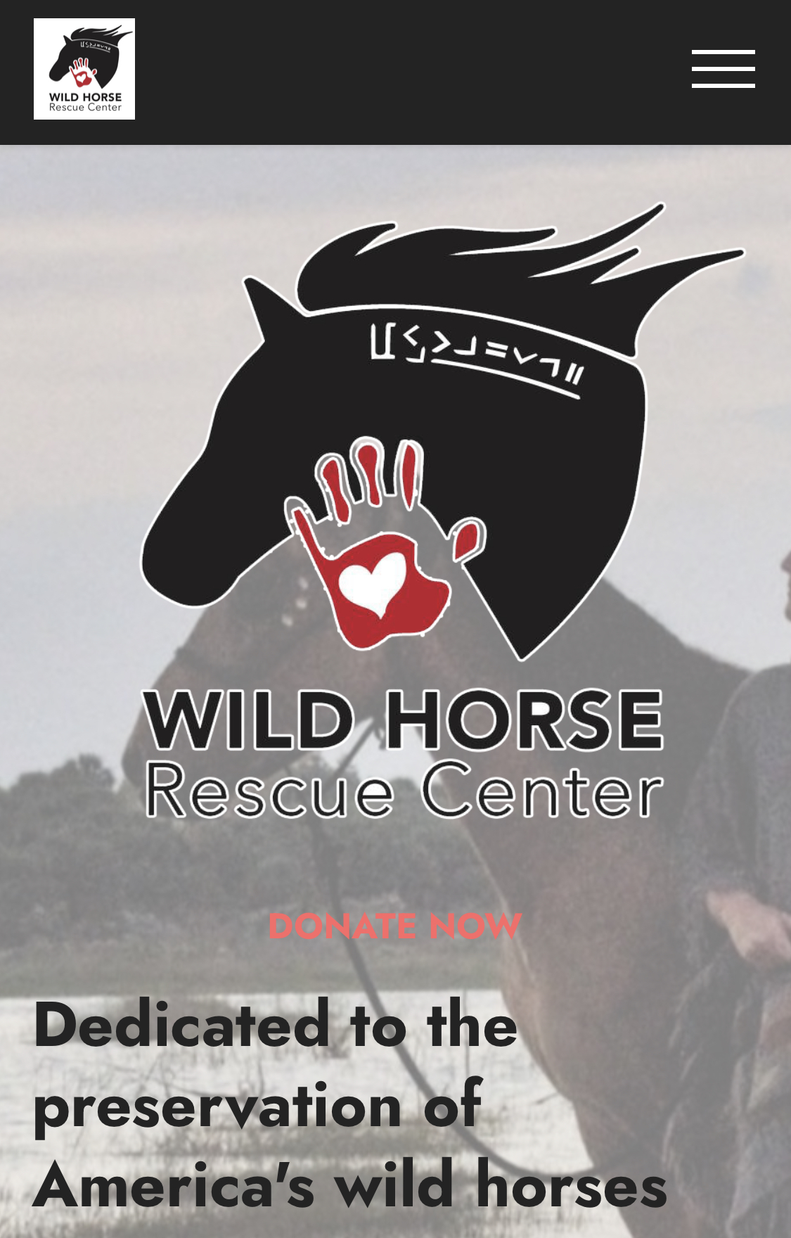 Mustang, WIld horse, USA