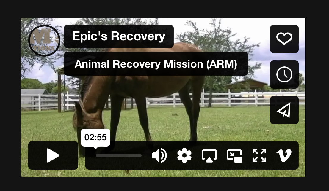 Epic's Recovery