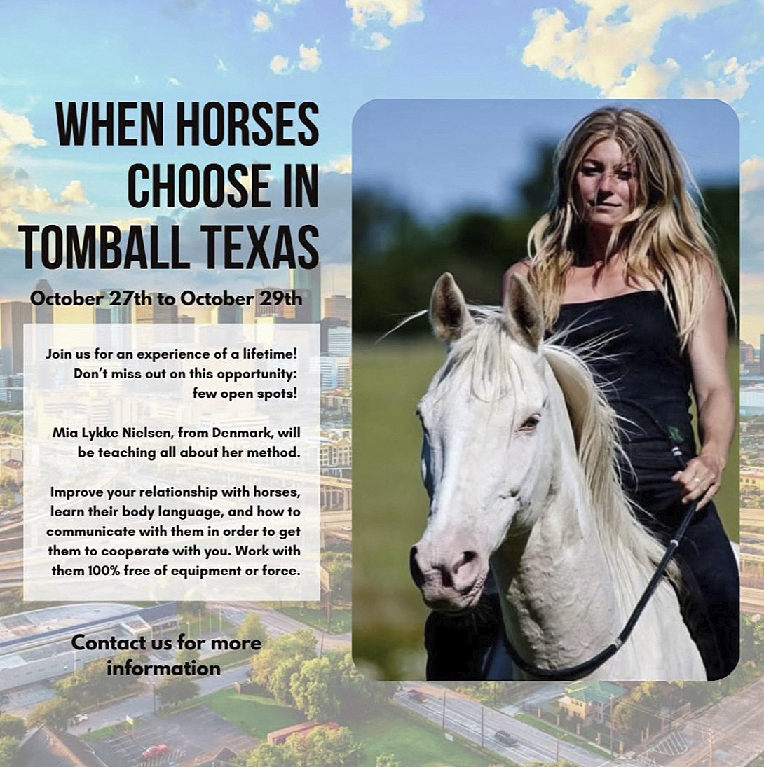 When Horses Choose, WHC, Clinic, Texas