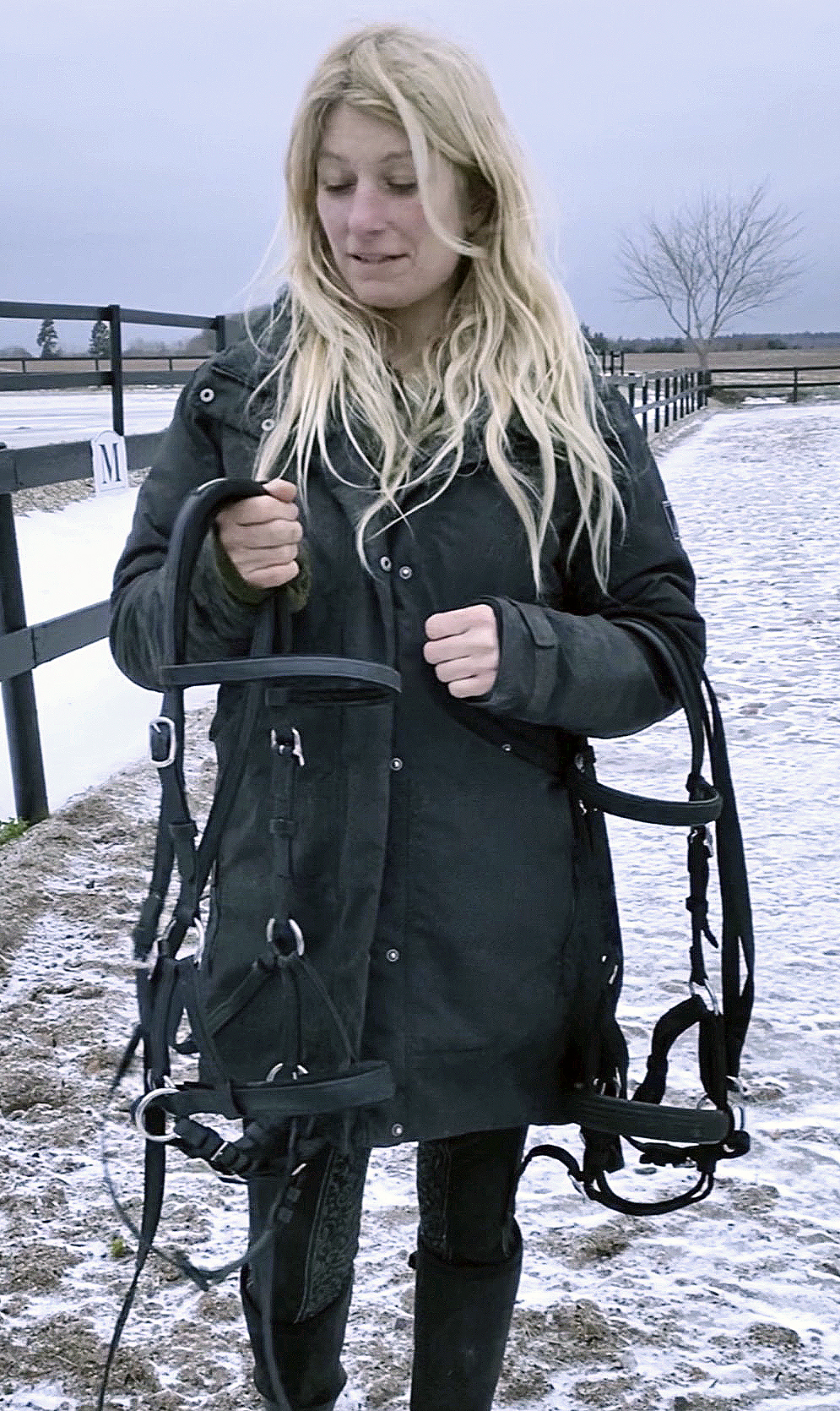 WHC, Bitless Bridles