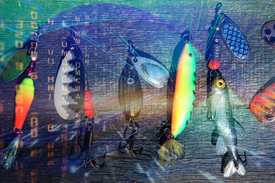 Article 6 image