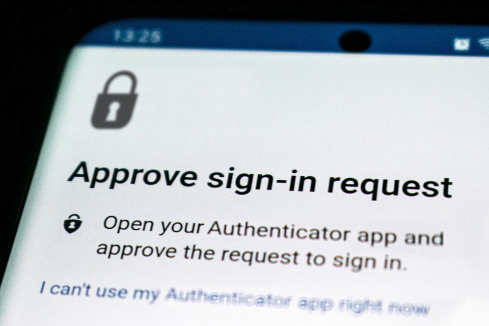 Article 3 image