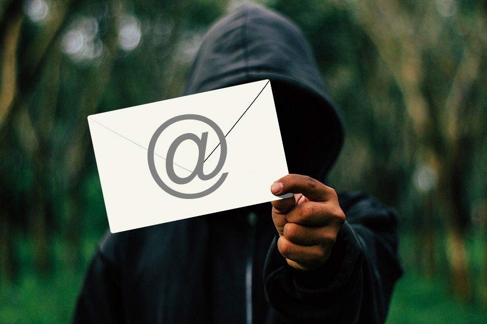 Article 1 image