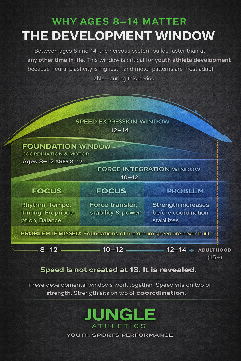 Detailed breakdown of Coordination, Force Transfer, and Speed Expression windows with consequences if missed