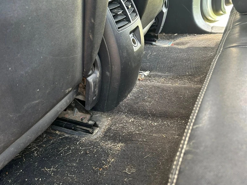 Dashboard deep cleaning service in Edon Ohio