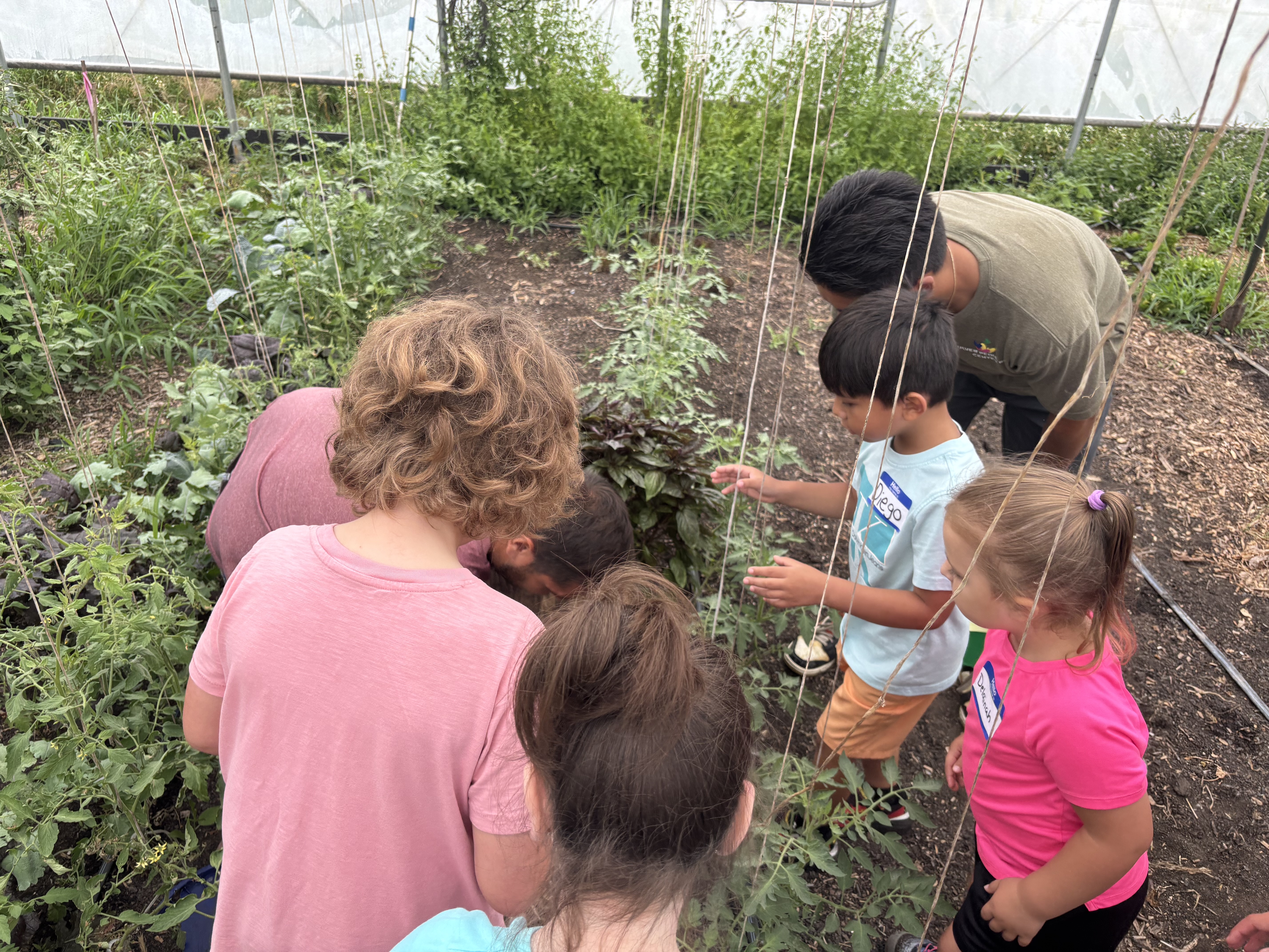 culver pediatrics culver pediatrics