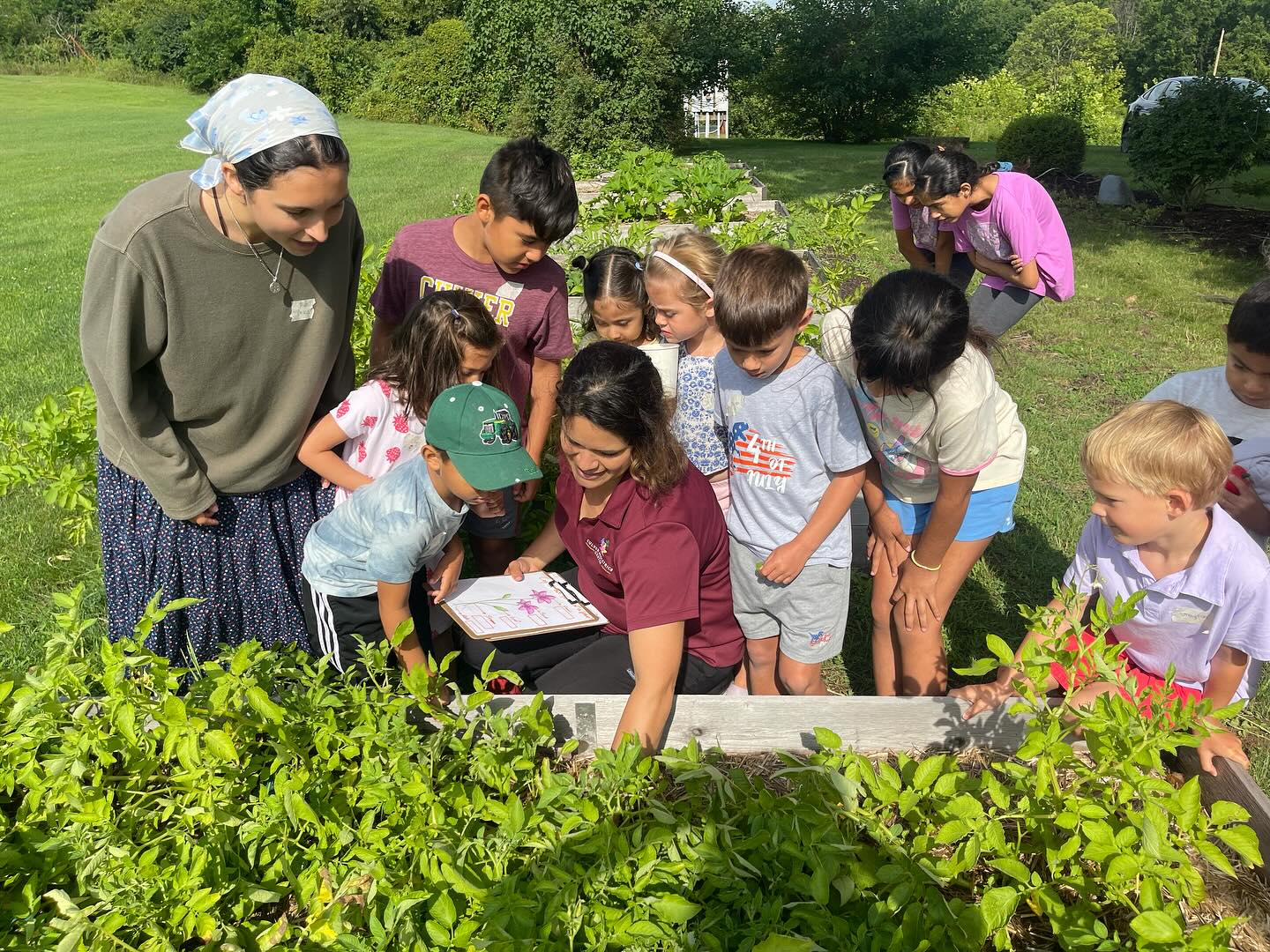 culver-pediatrics-center-camp-veggie
