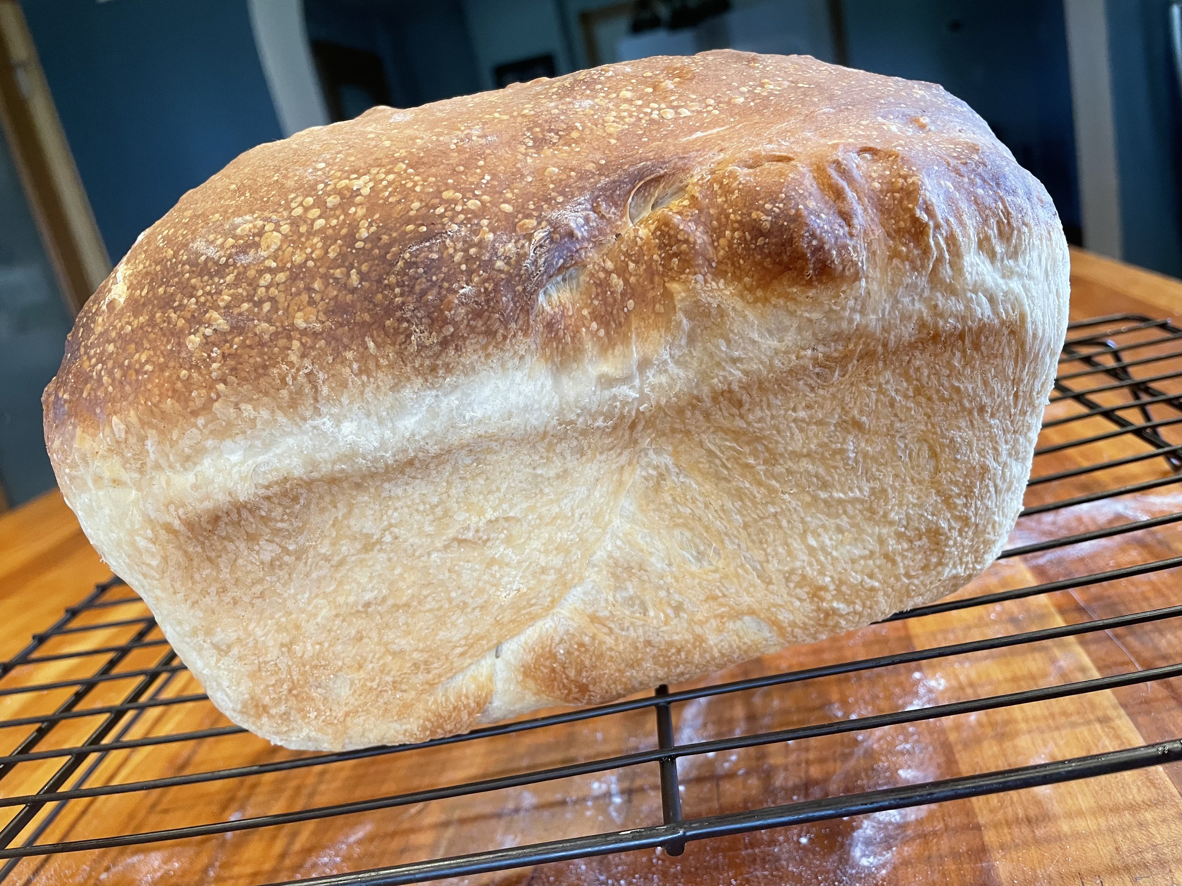 Sourdough Bread Loaf with Elements Protein Powder