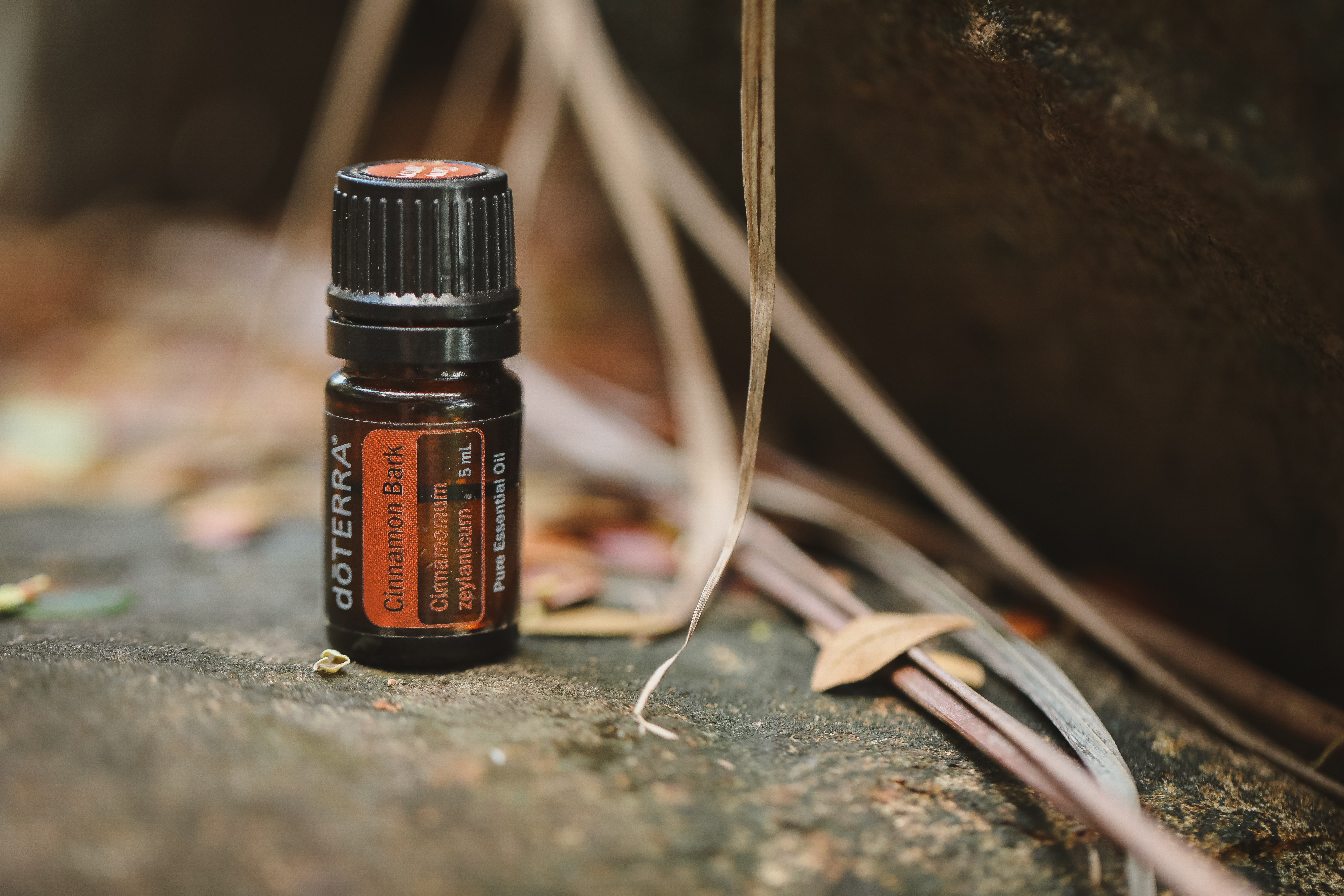 Cinnamon Bark essential oil