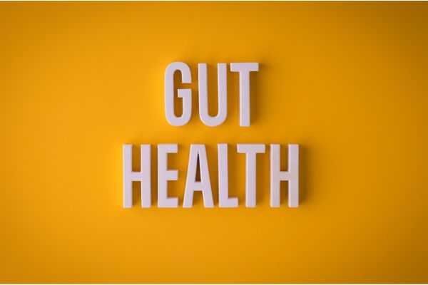 The Importance of Gut Health