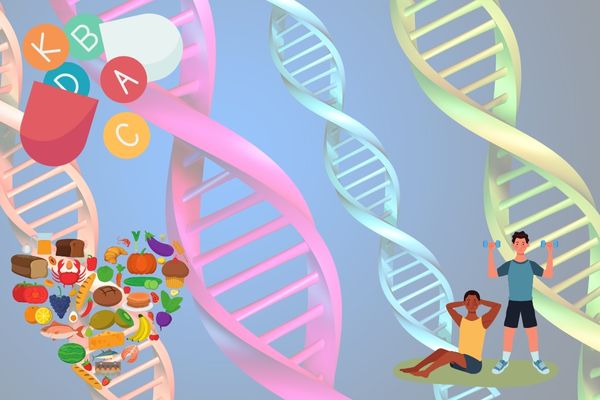 Your DNA is the key to personalized health solutions.