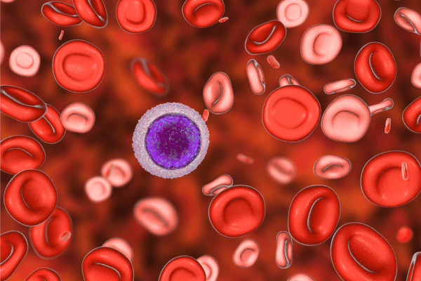 Blood Test Consultation Blood Test Consultation