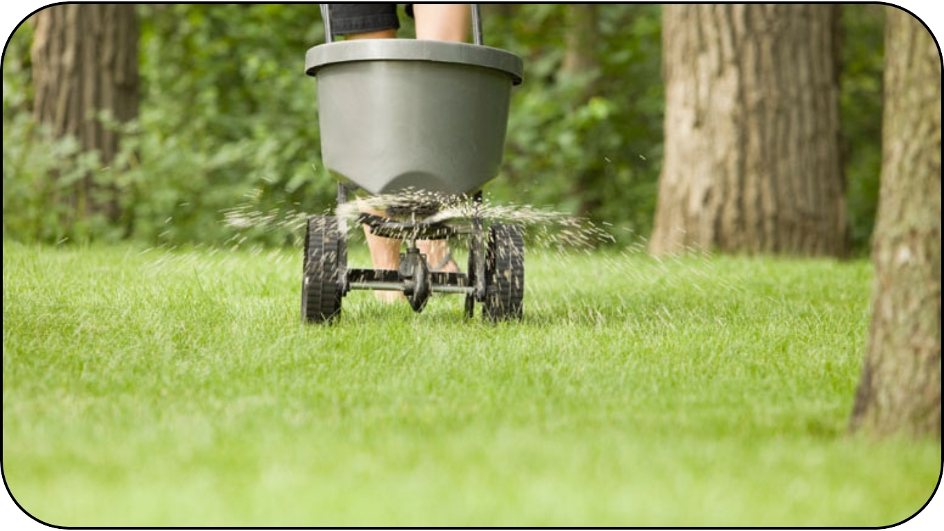 garden maintenance garden maintenance