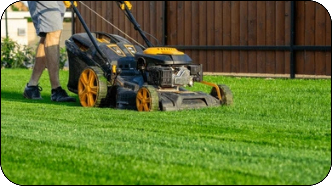 garden maintenance garden maintenance