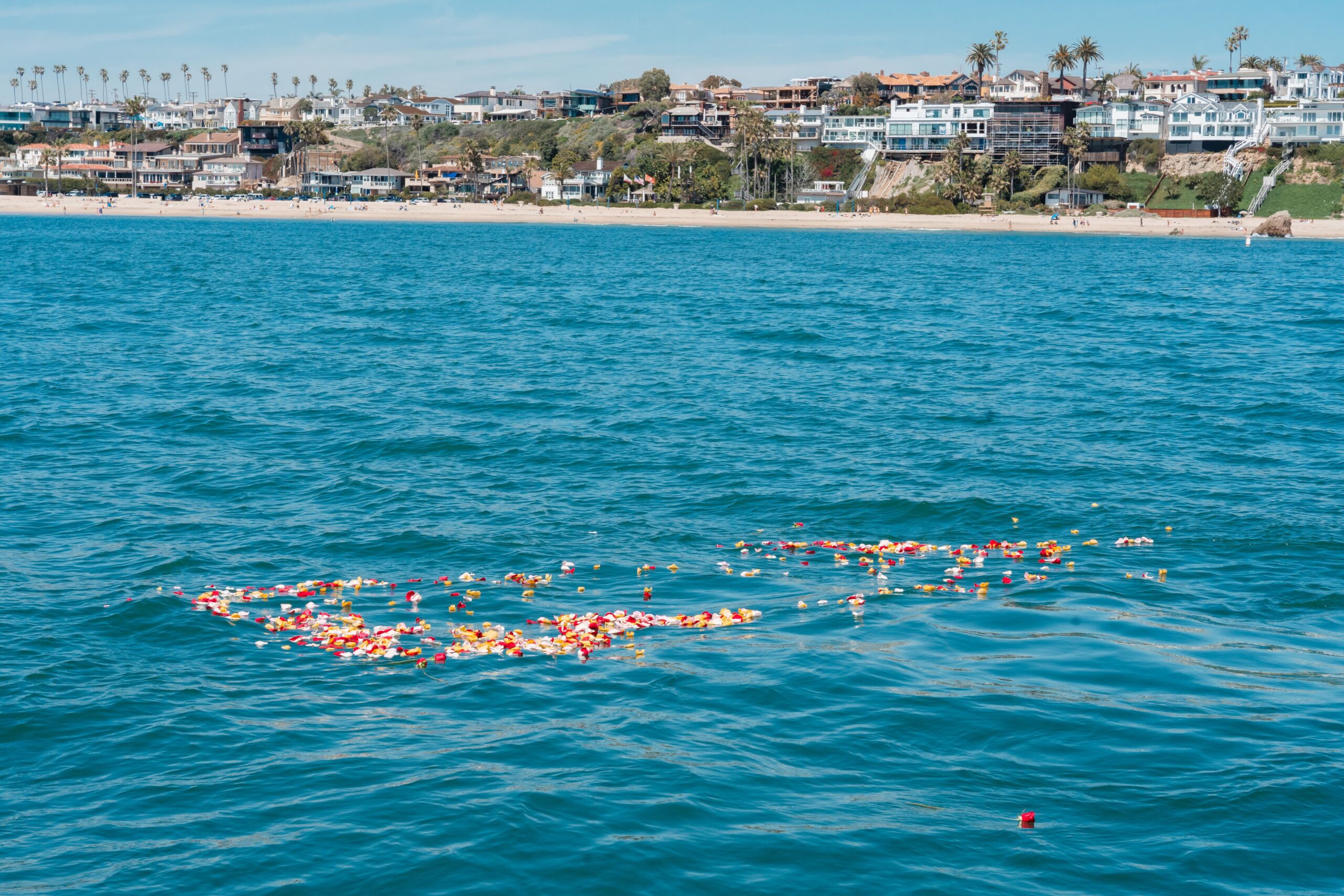 Honor Your Loved One: Funeral at Sea