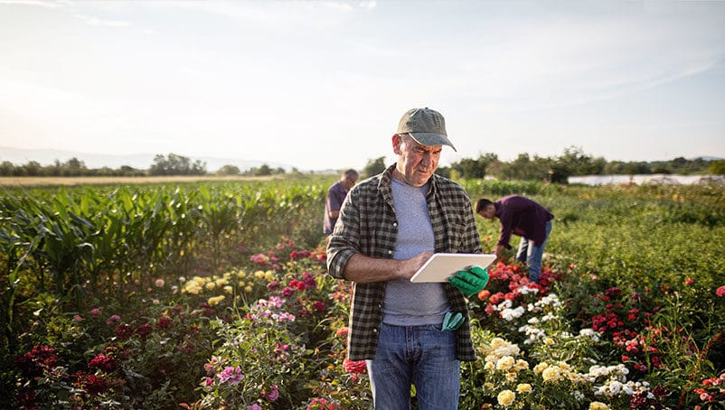2025 Survival Guide: Hidden Strategies for Rural Entrepreneurs to Beat Rising Costs and Thrive