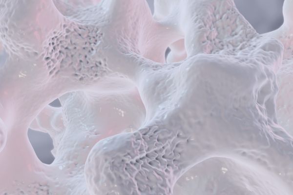 Bone density