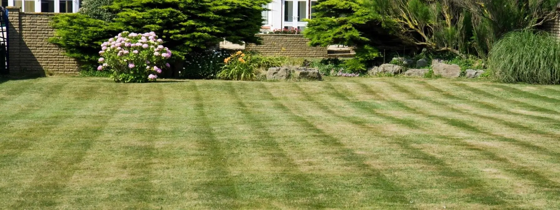 Neatly mowed residential lawn with subtle patchiness, showcasing early signs of stress common in Baltimore lawns due to soil issues, uneven sunlight, or improper care.