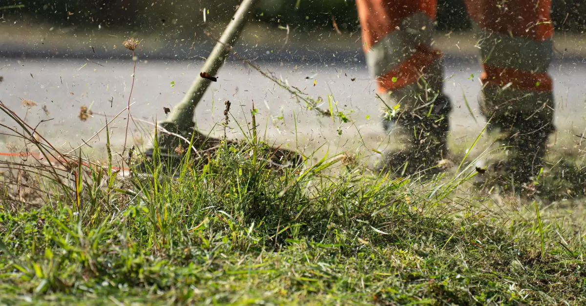 A worker wearing orange safety pants with reflective stripes is using a string trimmer to cut tall grass, with blades and debris visibly flying through the air.