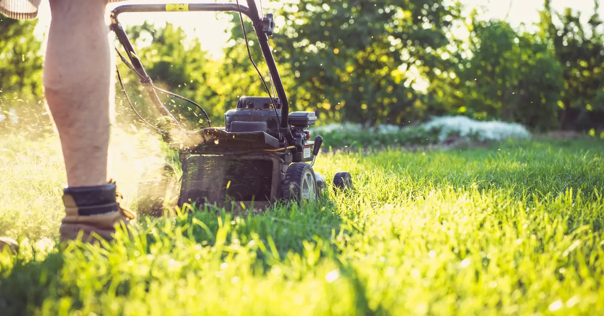 A close-up, low-angle view of a person mowing grass with a black gas-powered lawn mower, with fresh grass clippings flying in the sunlight and a blurred background of greenery. A close-up, low-angle view of a person mowing grass with a black gas-powered lawn mower, with fresh grass clippings flying in the sunlight and a blurred background of greenery.