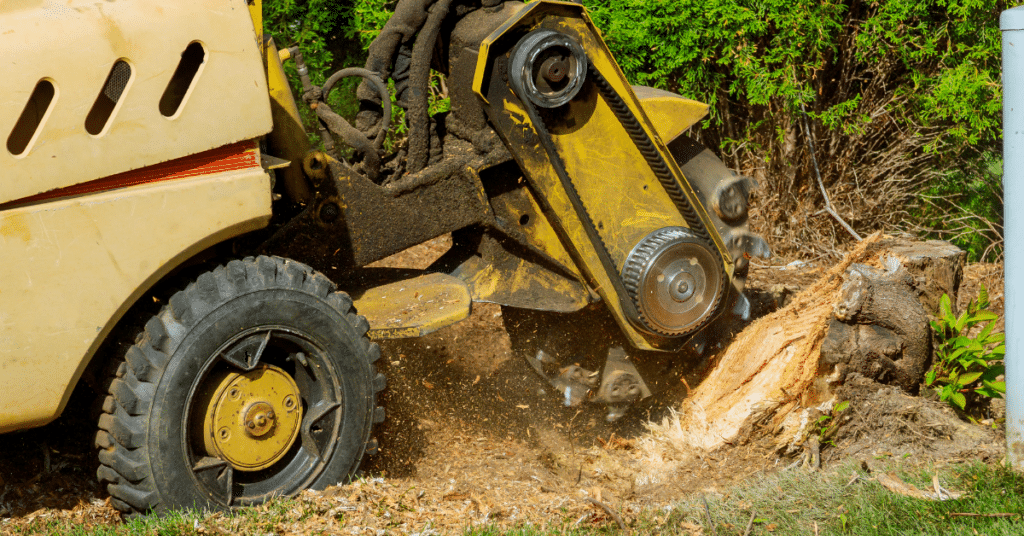 Tree Removal (including large & hazardous trees)