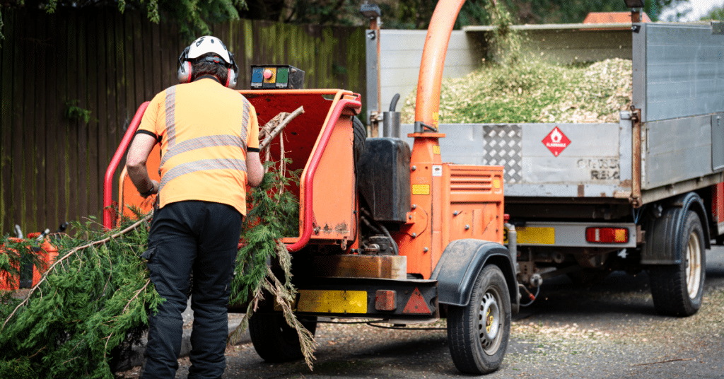 Stump Grinding & Removal