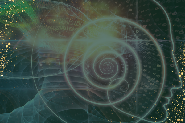 The Laws Of Consciousness The Laws Of Consciousness