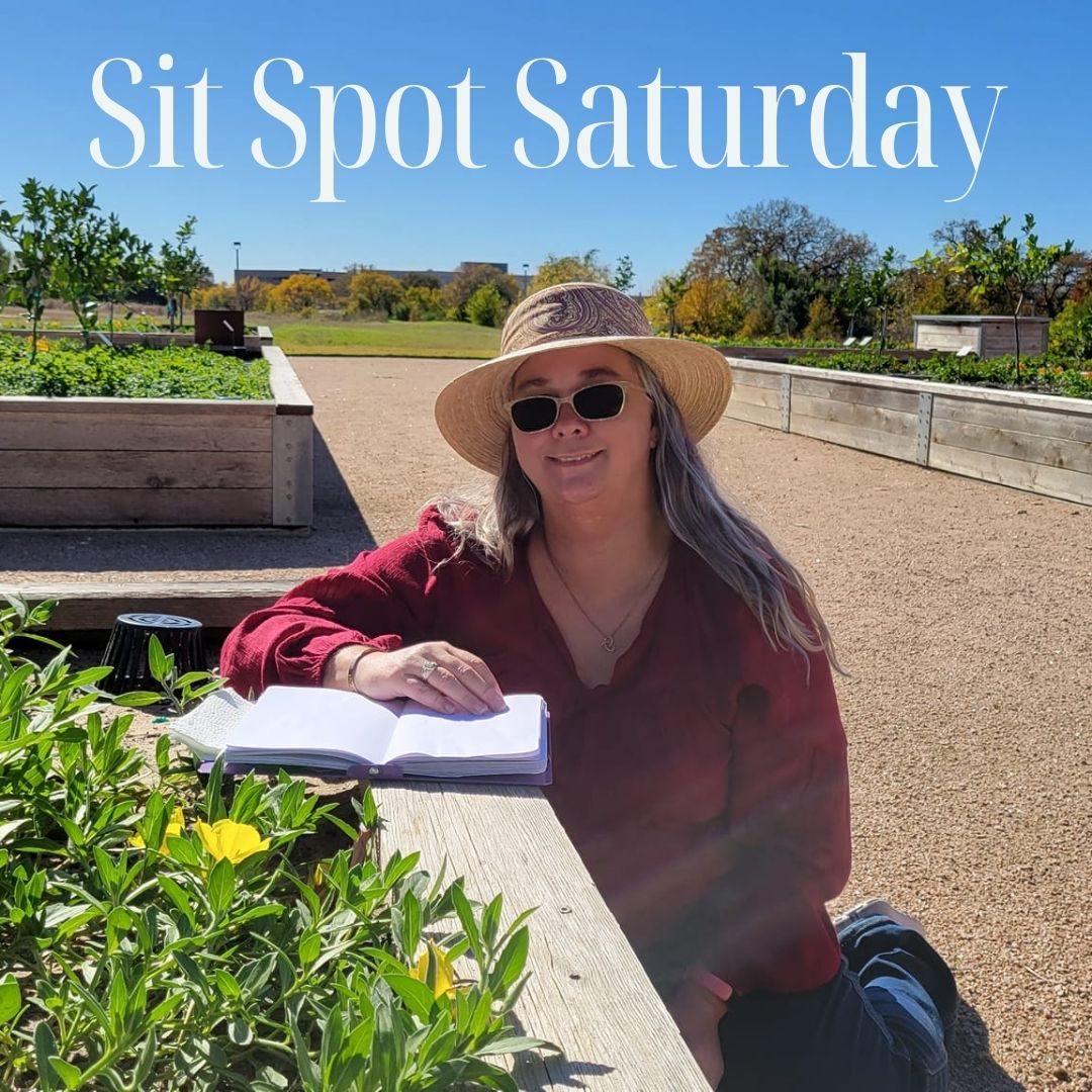 Intro to Field Sketching