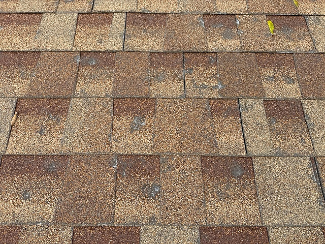 severe hail damage to a roof