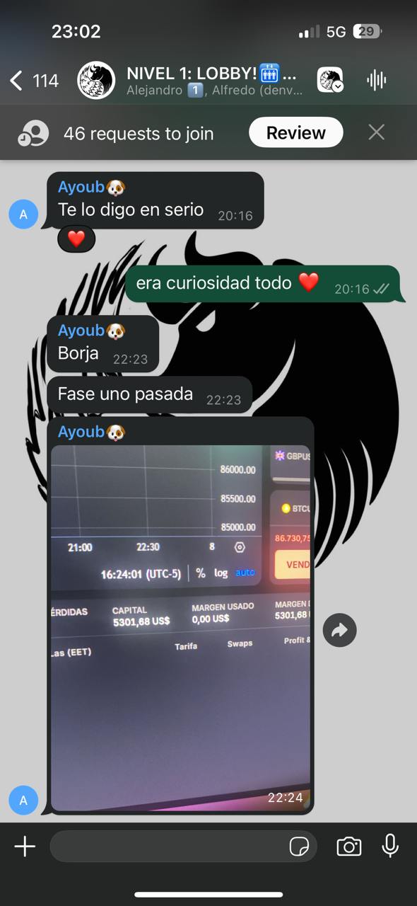 Éxito 237