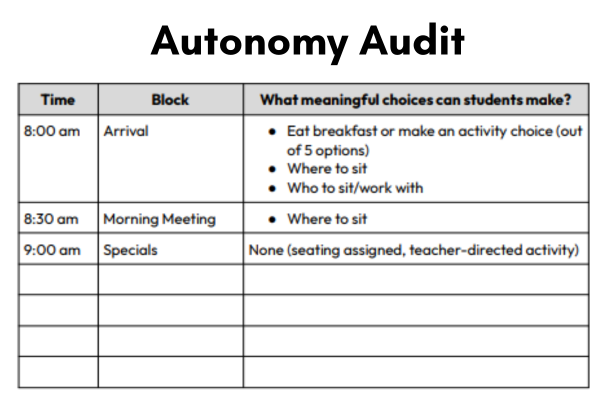 Example of an autonomy audit