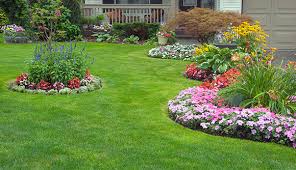 Landscape design sketch with installed garden