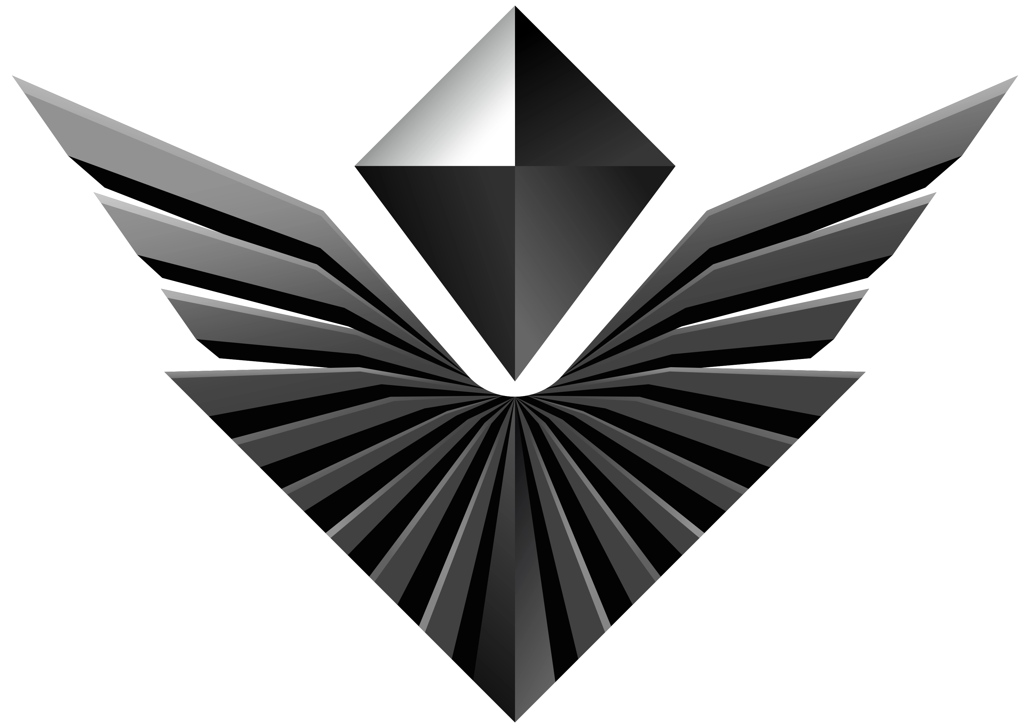 SOVERLUX Logo - Premier Automotive Care & Paint Protection in Brooklyn, NY