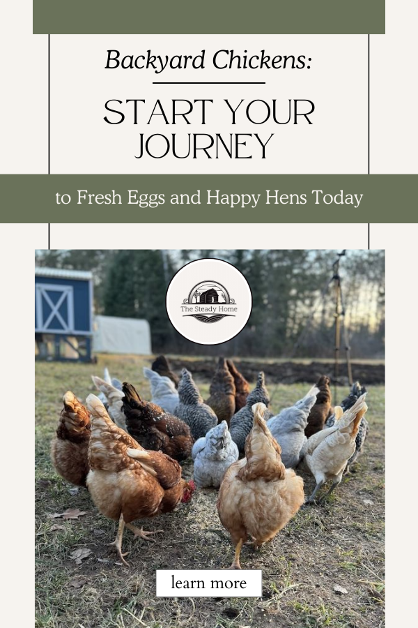 An image featuring a lively flock of chickens in a backyard setting. The text overlay reads, "Backyard Chickens: Start your journey to fresh eggs and happy hens today" An image featuring a lively flock of chickens in a backyard setting. The text overlay reads, "Backyard Chickens: Start your journey to fresh eggs and happy hens today"