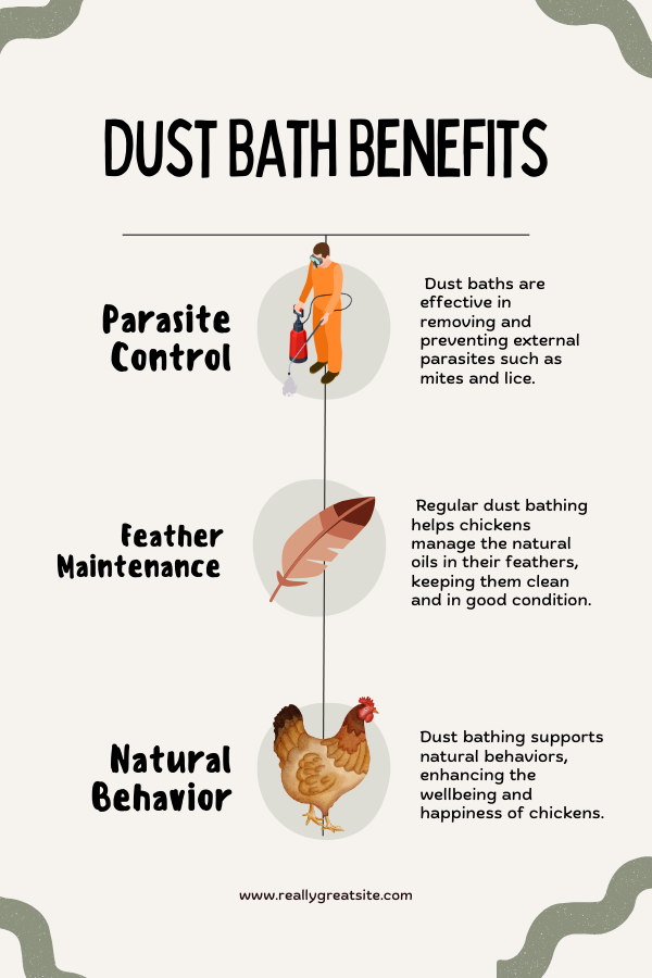 An informative photo highlighting the benefits of dust baths for chickens An informative photo highlighting the benefits of dust baths for chickens