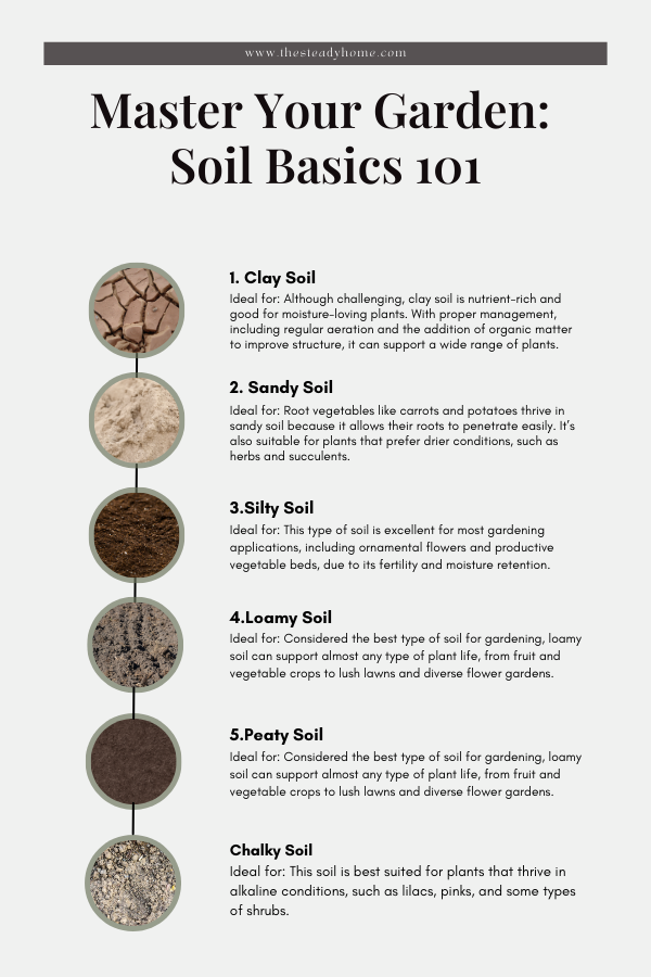 Infographic titled "Master Your Garden: Soil Basics 101," featuring descriptions and uses for six soil types: clay, sandy, silty, loamy, peaty, and chalky, with corresponding images. Infographic titled "Master Your Garden: Soil Basics 101," featuring descriptions and uses for six soil types: clay, sandy, silty, loamy, peaty, and chalky, with corresponding images.