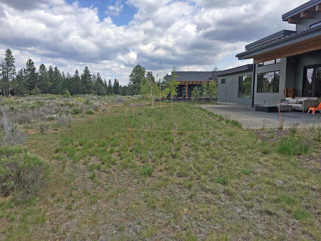 landscape design landscape design