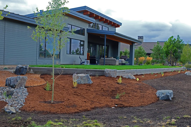 landscape design landscape design