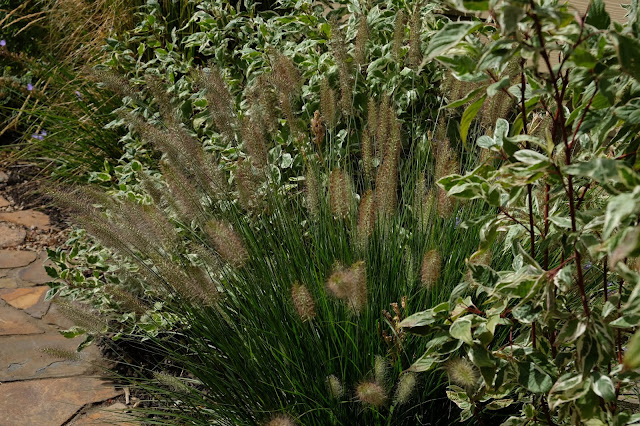 Landscape design Landscape design