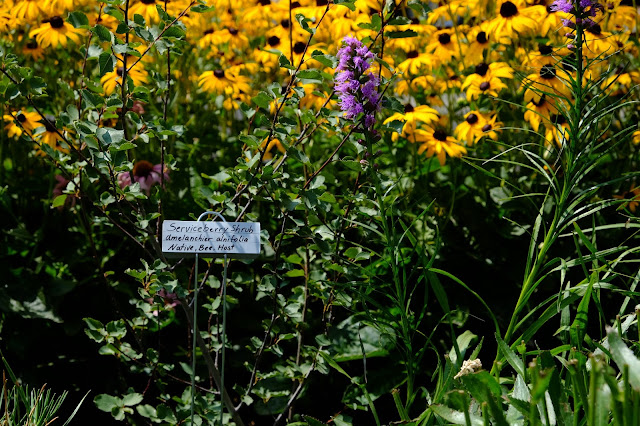 landscape design landscape design