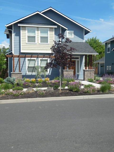 landscape design landscape design