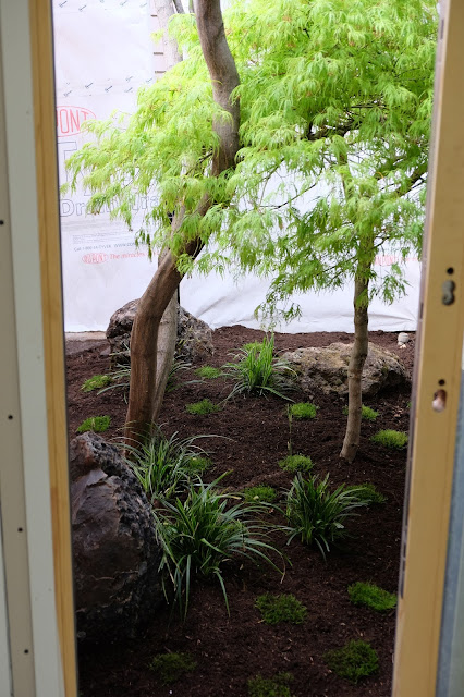 landscape design