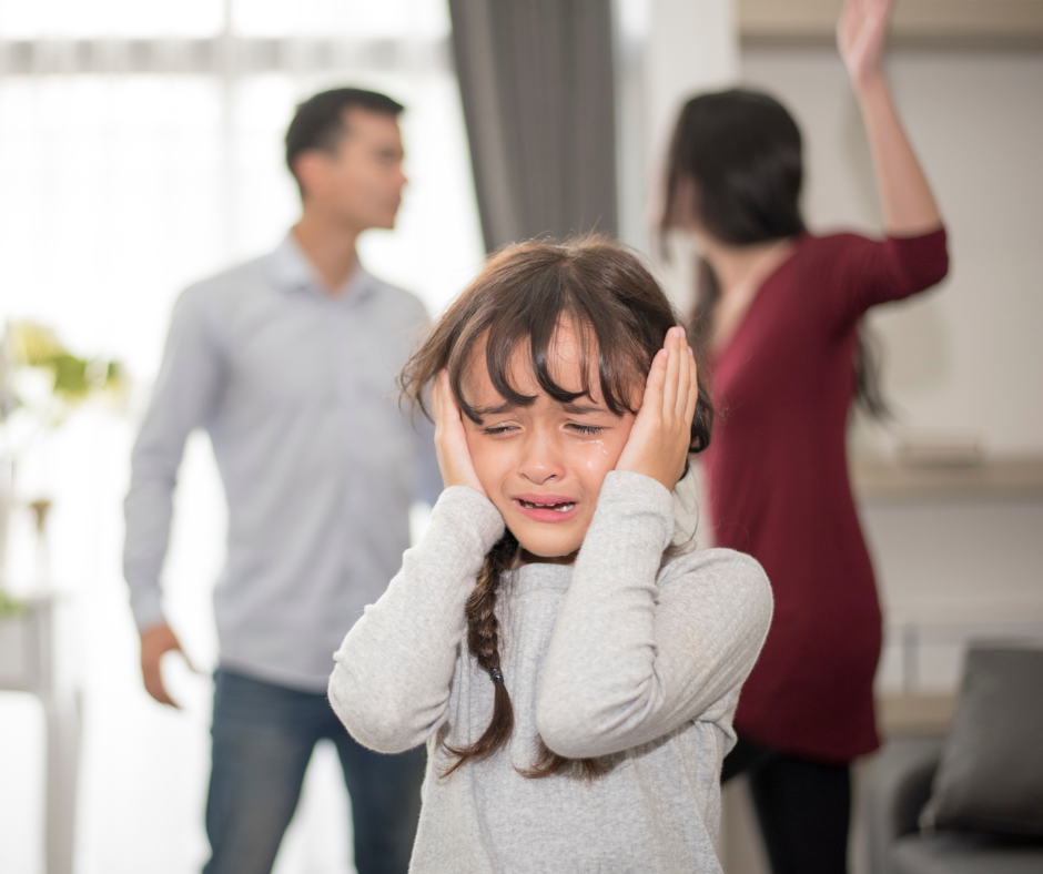 emotional rollercoaster and co-parenting dynamics of divorce